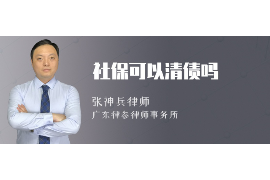 狮子山狮子山的要账公司在催收过程中的策略和技巧有哪些？